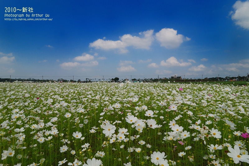 http://i.dcview.tw/gallery/201010/b18f1590f5f70e072fdc348048c47365.jpg