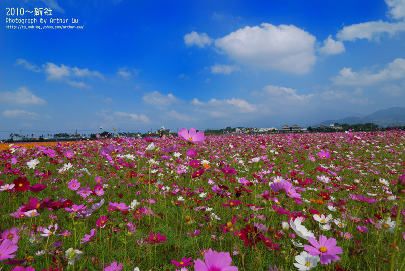 http://i.dcview.tw/gallery/201010/b1d75d2b6f12a51c0120bc25e17ed466.jpg