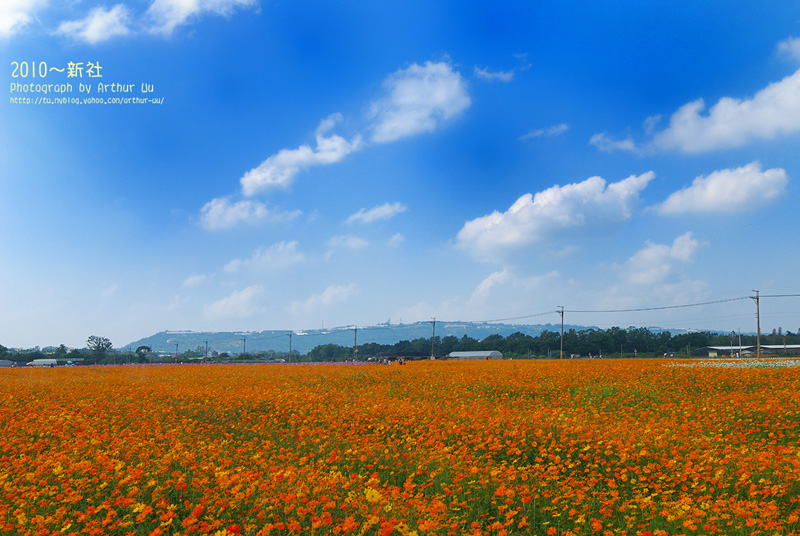 http://i.dcview.tw/gallery/201010/b9844fcb077d7e09432ebcb38cedd96a.jpg