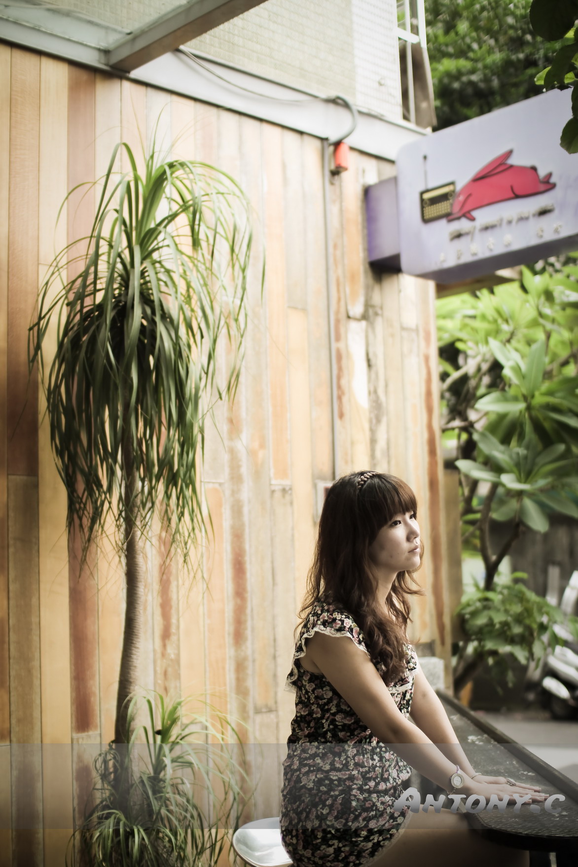 http://i.dcview.tw/gallery/201010/bb1b8cef267004be1a88c522d01dc91b.jpg