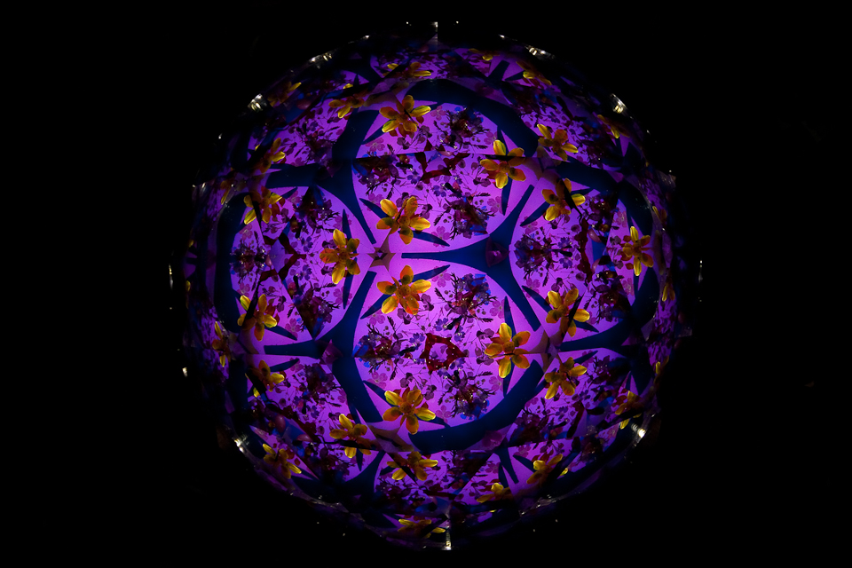 http://i.dcview.tw/gallery/201010/c60fd514fdb8863ee09fb2e4b5fb7aaf.jpg