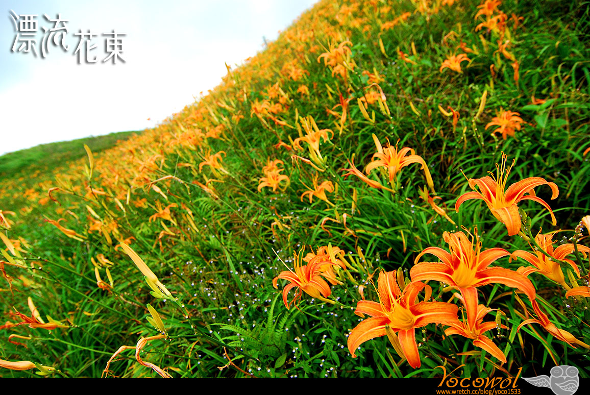 http://i.dcview.tw/gallery/201010/e9817fccb3663ea43dafc892df6693dd.jpg