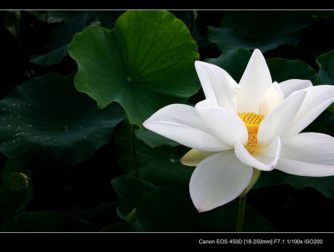 http://i.dcview.tw/gallery/201010/ed8ea1fdb6c097048dff35c63bdf6249.jpg