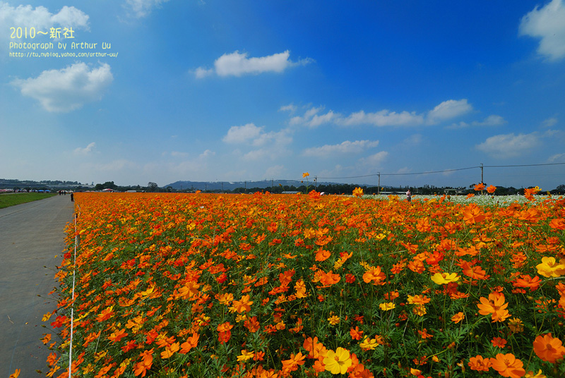 http://i.dcview.tw/gallery/201010/fb84e2e03eb6117c1192624d3a0c53a0.jpg
