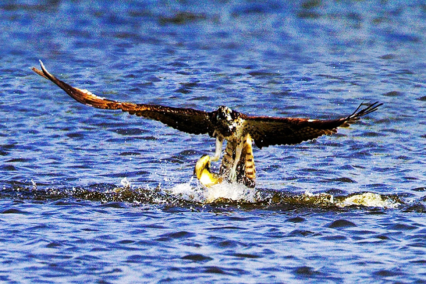 http://i.dcview.tw/gallery/201011/04f9e20caa567292fa1443471e8d1706.jpg