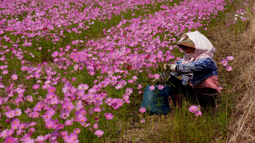 http://i.dcview.tw/gallery/201011/07a6d472bbfaf7cbfedfe2cc576c4c94.jpg