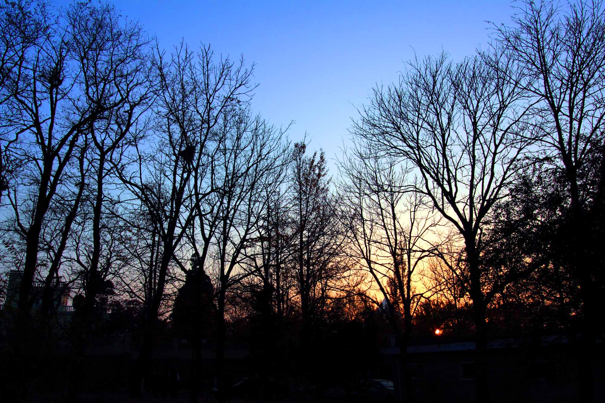 http://i.dcview.tw/gallery/201011/090d169959ff6fcfaa2c139ba5e3e667.jpg