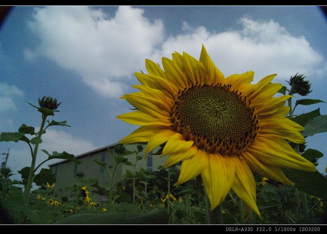 http://i.dcview.tw/gallery/201011/0ce29d4ee5f512faf86439eee162ed50.jpg
