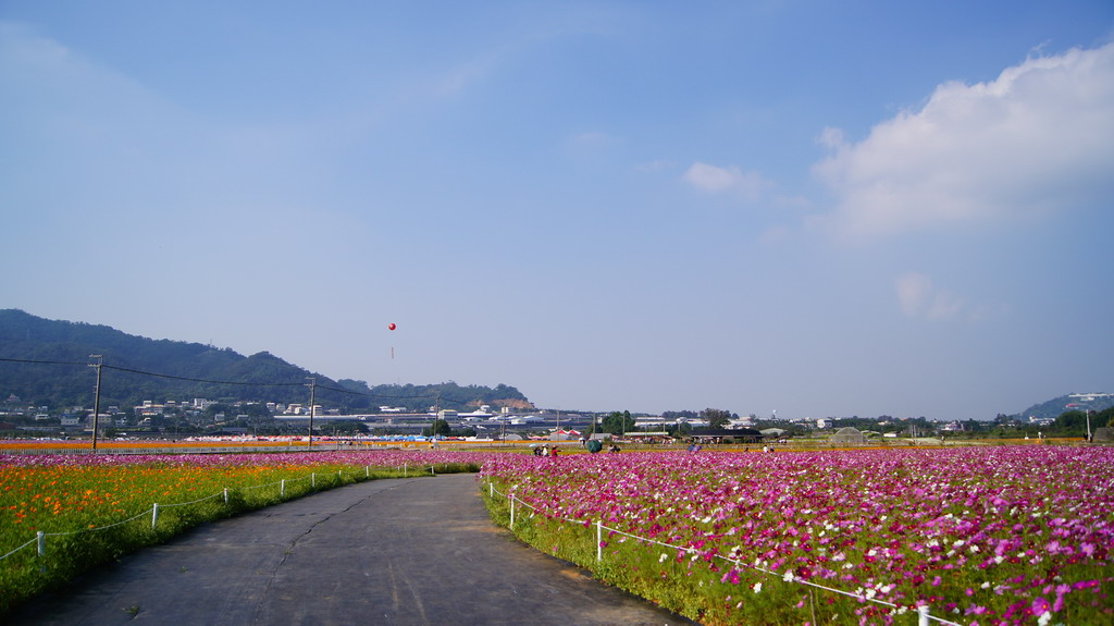 http://i.dcview.tw/gallery/201011/0f2ac0832ee92872d8d5303e45cbd019.jpg