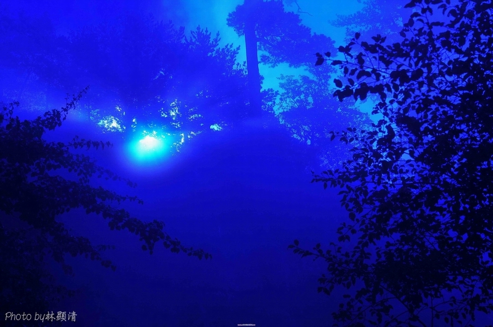 http://i.dcview.tw/gallery/201011/1a7505a0a7c6dd6930943549e2106a70.jpg
