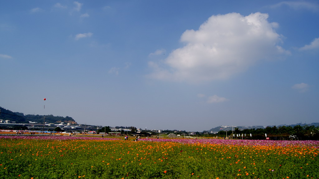 http://i.dcview.tw/gallery/201011/1e5c4f5e5e184cbbc4c4877a0749fbd0.jpg
