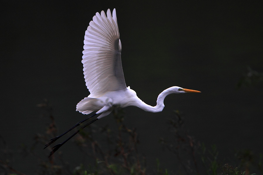 http://i.dcview.tw/gallery/201011/238adfc1f592150d98184dd7975c76de.jpg