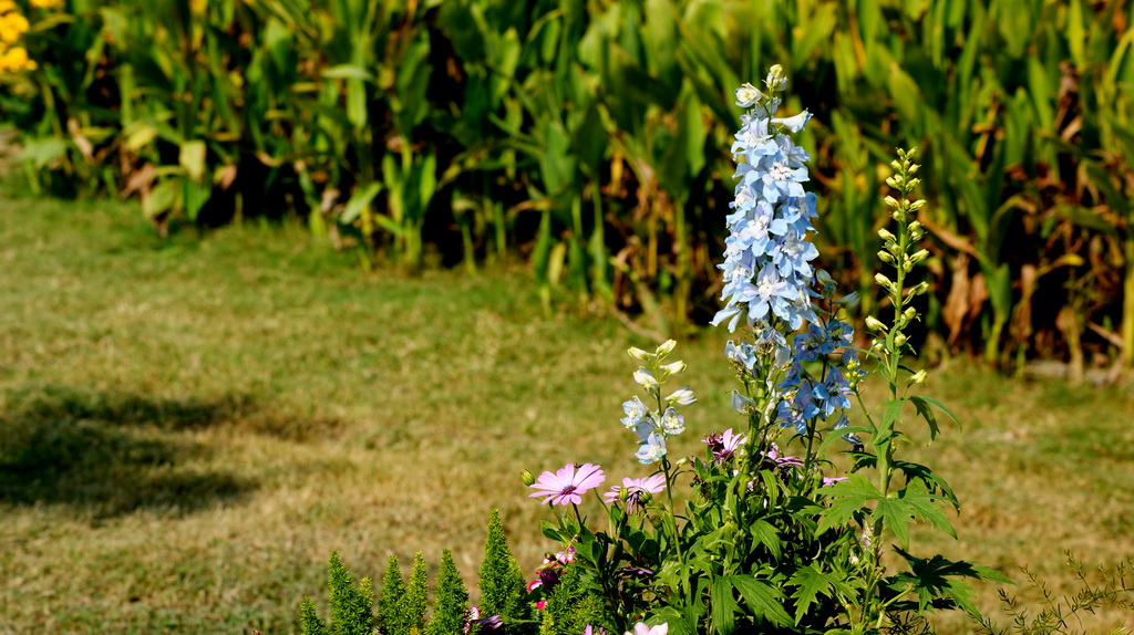http://i.dcview.tw/gallery/201011/2c30cc3f1236a7b0c71175e554e5be1e.jpg