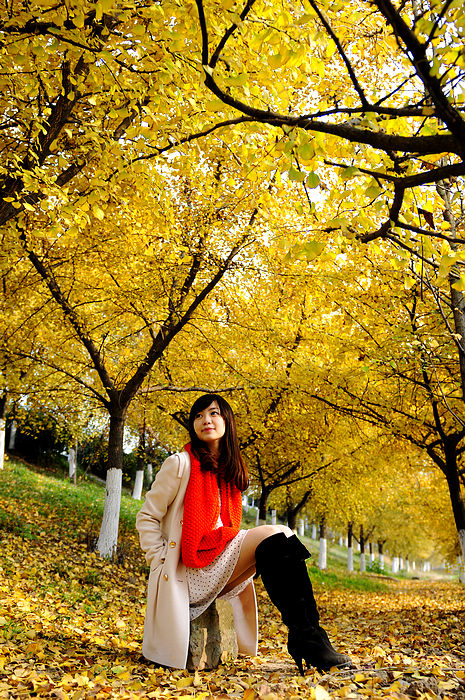 http://i.dcview.tw/gallery/201011/519d220025d657215228ea9e4397c2c0.jpg