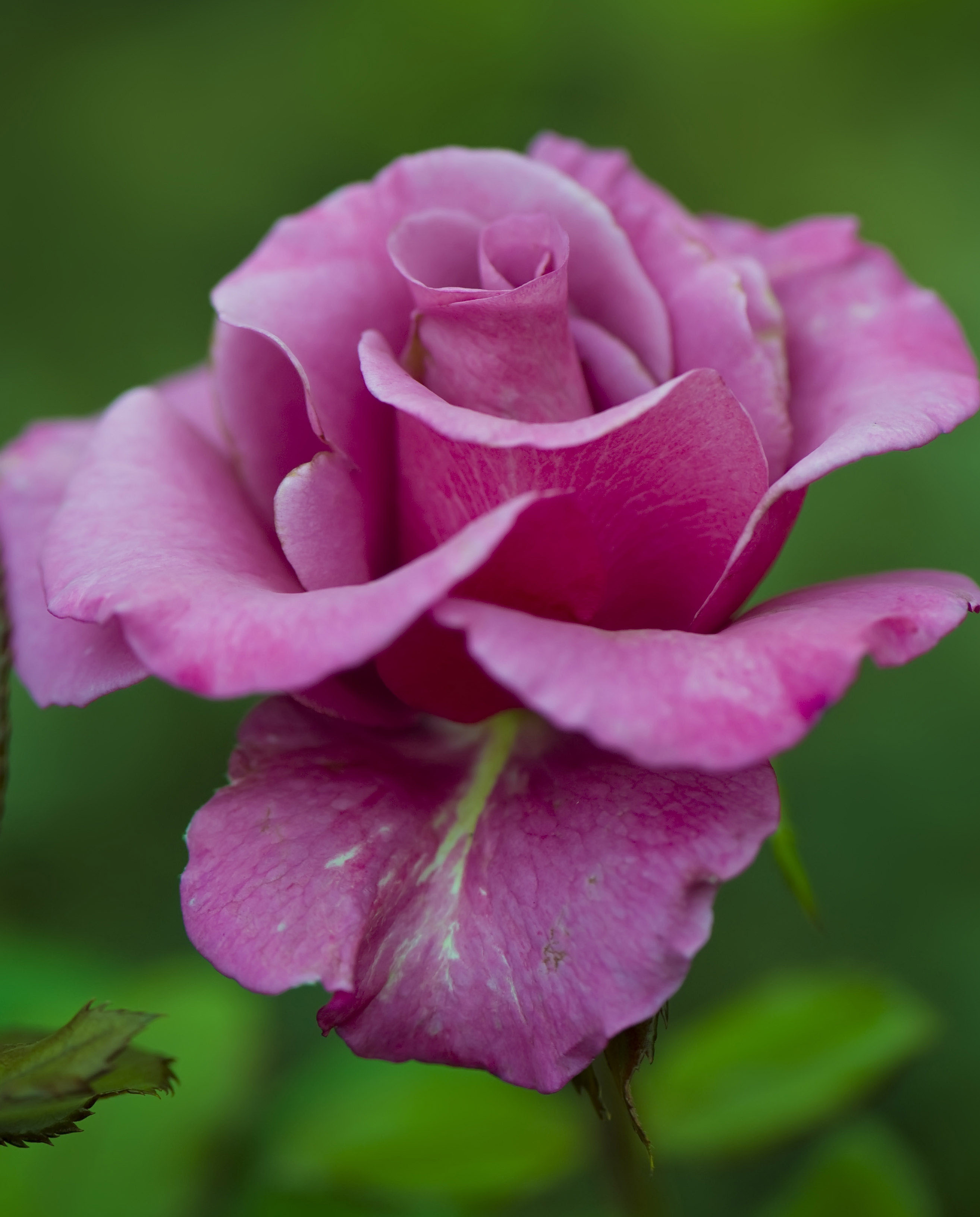 http://i.dcview.tw/gallery/201011/55726ef6b4729abf956a421cdf1a8fdd.jpg