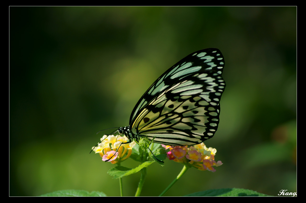 http://i.dcview.tw/gallery/201011/5d621fc0999d236aee860a2aba64df01.jpg