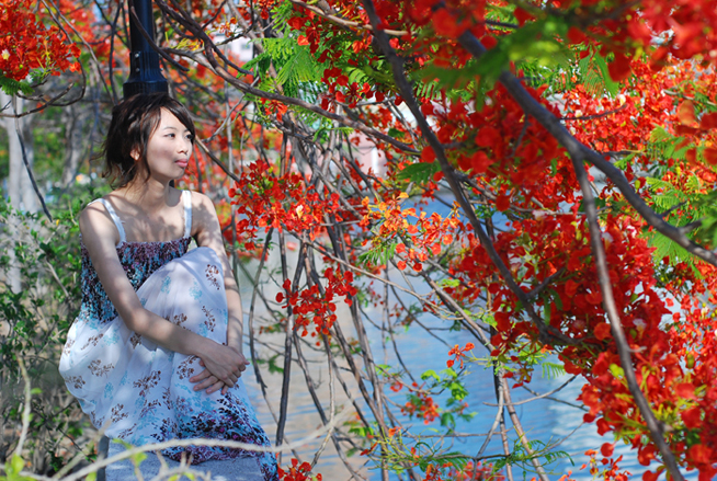 http://i.dcview.tw/gallery/201011/69f7fd184a7362d8d535c52c2dfb8571.jpg