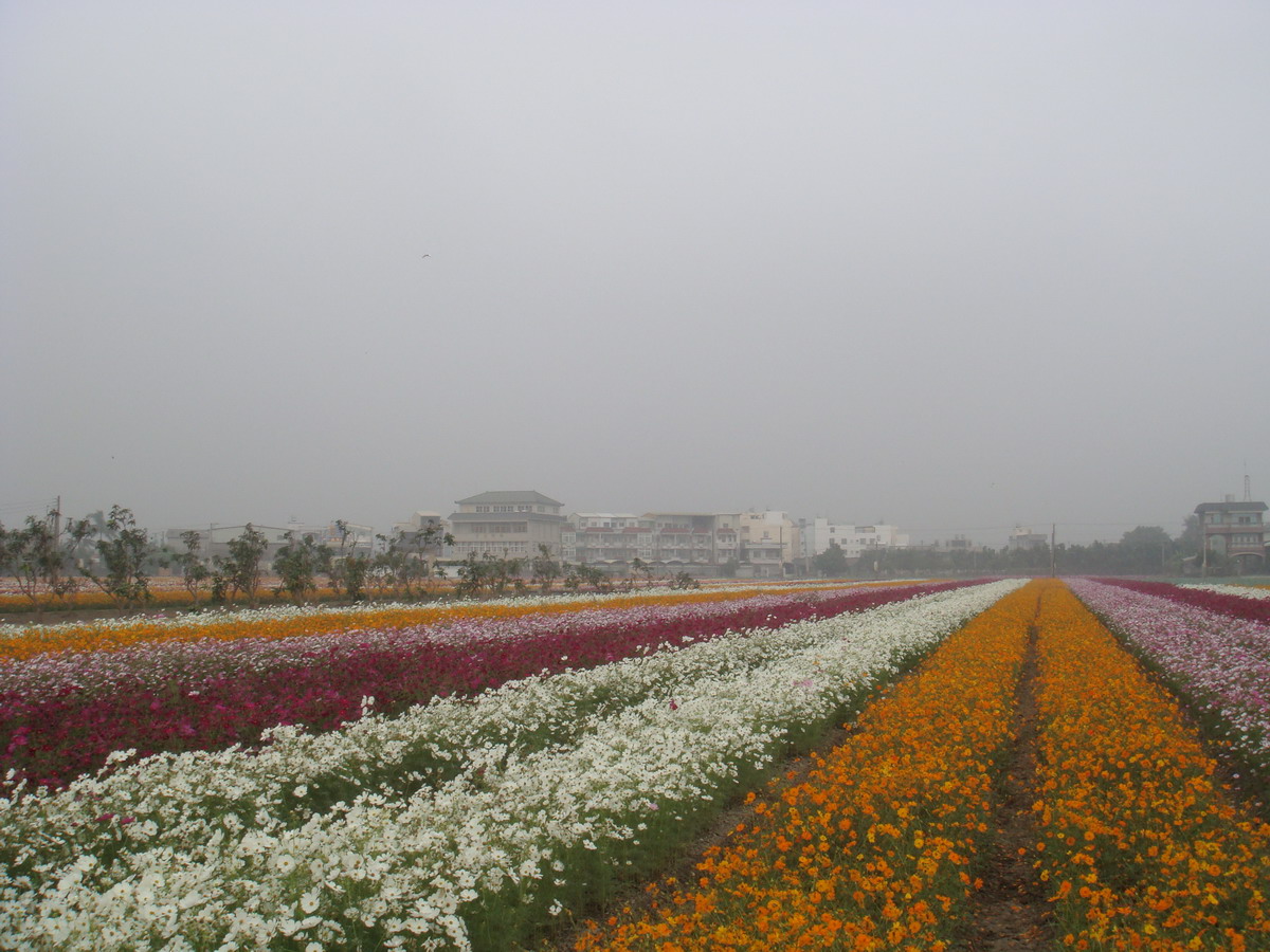 http://i.dcview.tw/gallery/201011/6ad96292edb5b27f4be6e785eac82b10.jpg