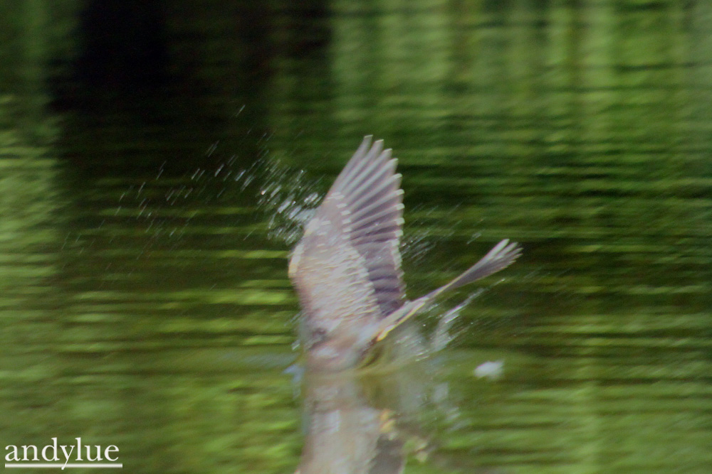 http://i.dcview.tw/gallery/201011/6b624b4f00c6187da119c4840b71a793.jpg