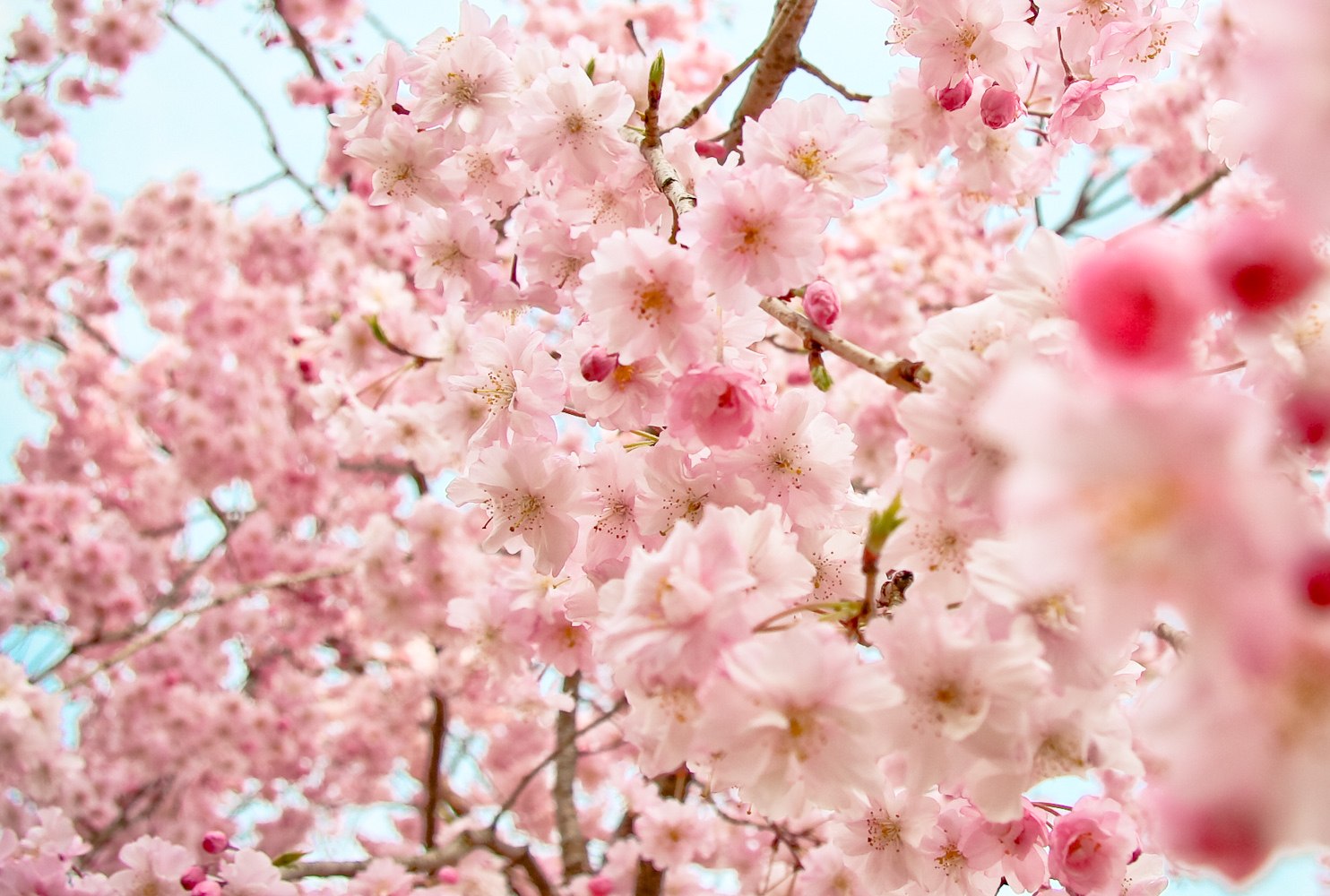 http://i.dcview.tw/gallery/201011/714bbbcce47e3c1f1700edcea66f87b5.jpg