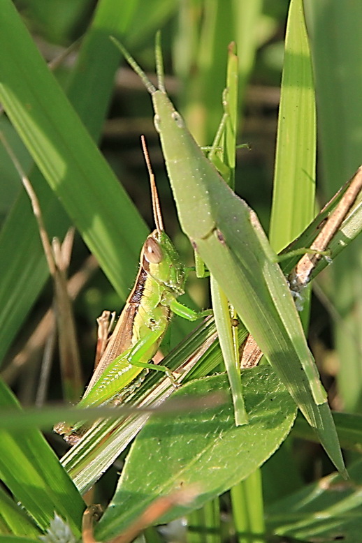 http://i.dcview.tw/gallery/201011/789e2b8c5da40541e7adbe5931a87191.jpg