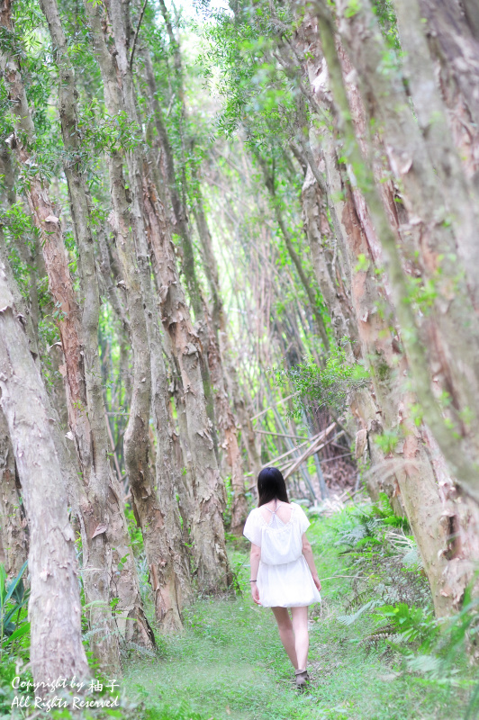 http://i.dcview.tw/gallery/201011/79a5083813d0185407ec42db39f574e4.jpg