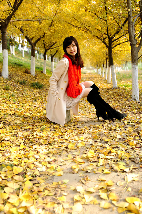 http://i.dcview.tw/gallery/201011/7b0bd8b805d37d9fe58b52c12c1c154b.jpg