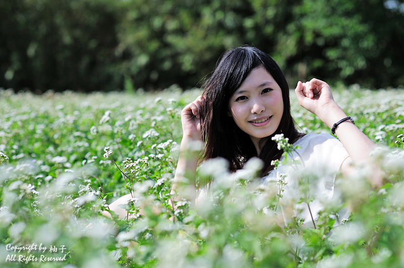 http://i.dcview.tw/gallery/201011/7cca7364a77499330e3866c5a04e4543.jpg
