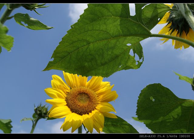 http://i.dcview.tw/gallery/201011/7dbc5627d40dfc12d7d16a83b00ac63e.jpg