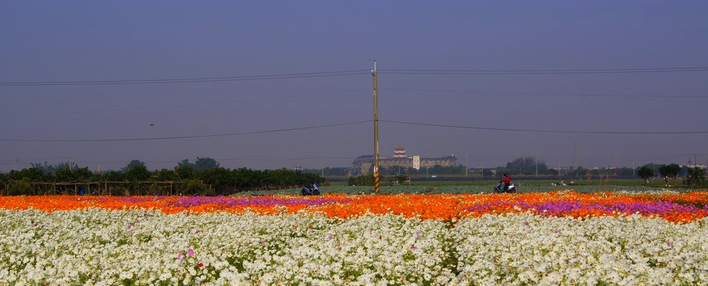 http://i.dcview.tw/gallery/201011/8030f9142409661ee019c2c1174497ff.jpg