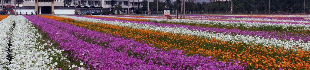 http://i.dcview.tw/gallery/201011/85e2eba3c71c5b0cced05cc7035add98.jpg