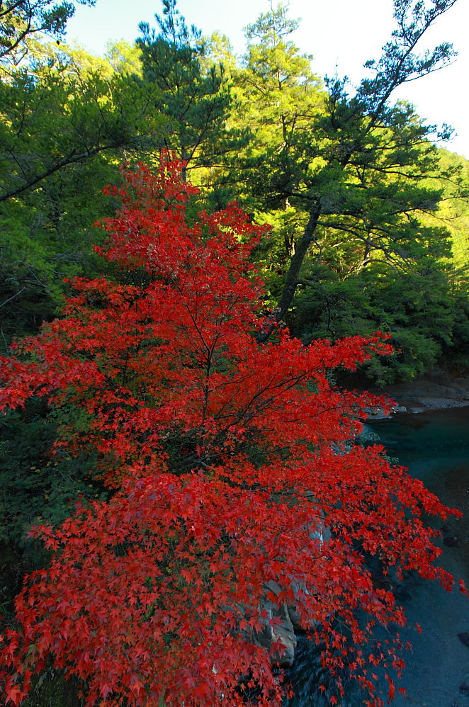 http://i.dcview.tw/gallery/201011/9413d3501fc74d0a072df114b620d5db.jpg