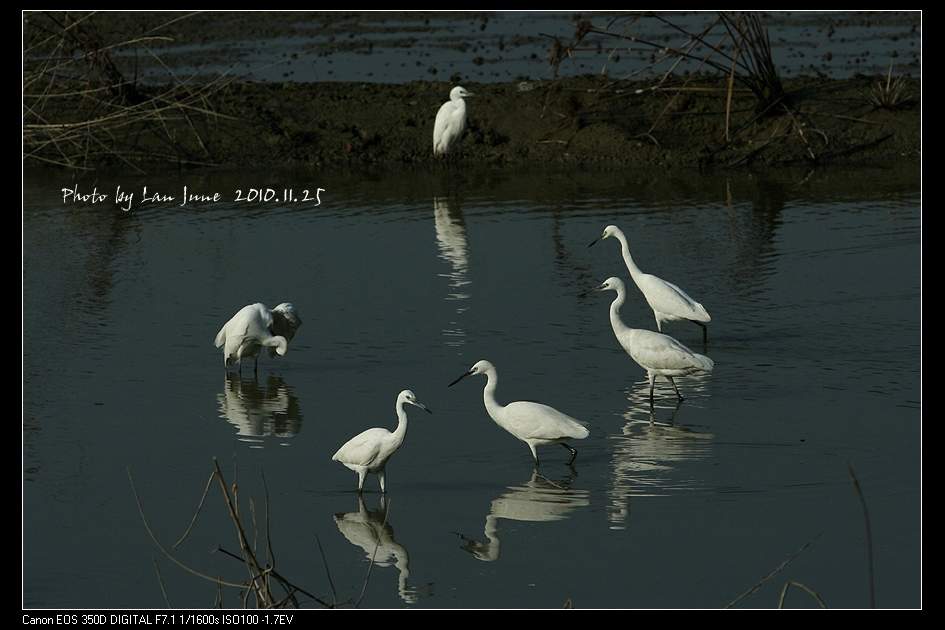http://i.dcview.tw/gallery/201011/9ad9e974ebb39486443d8d0b1b216dcf.jpg