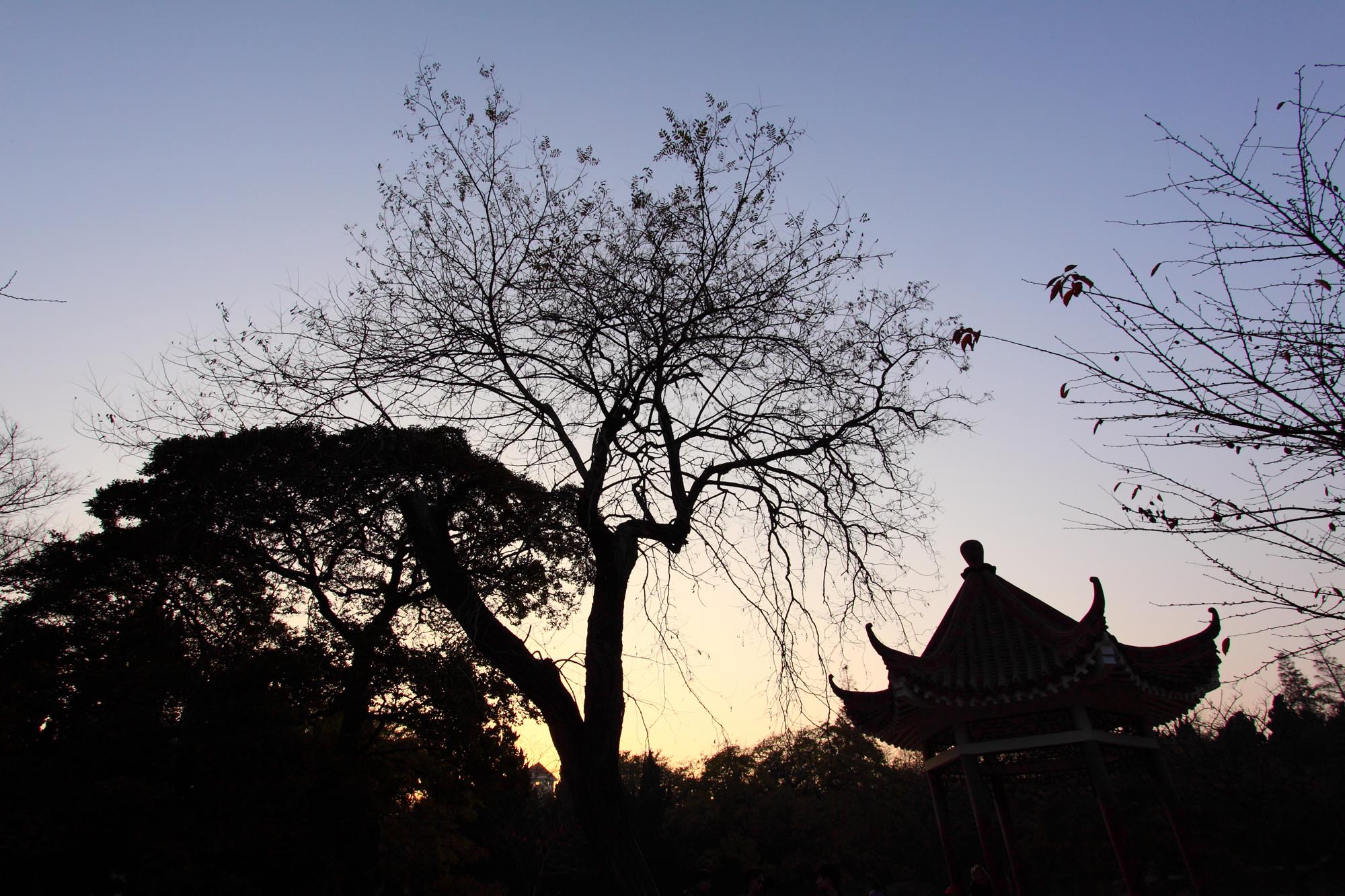 http://i.dcview.tw/gallery/201011/9b90579c608e39466d7dff80496c770c.jpg