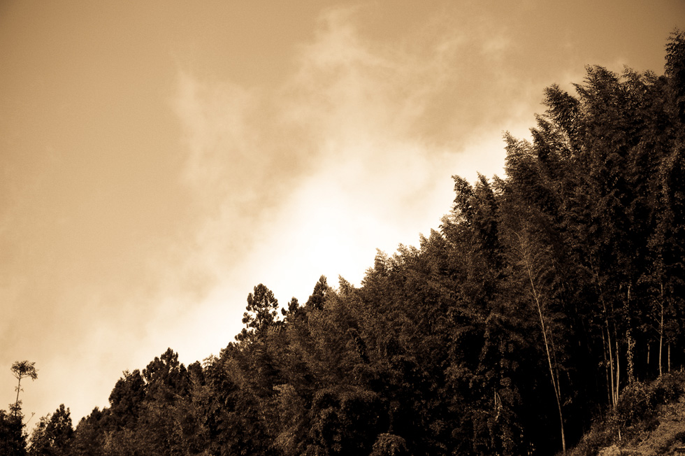 http://i.dcview.tw/gallery/201011/9be04a2c687d974d524e1b77ee2f7862.jpg