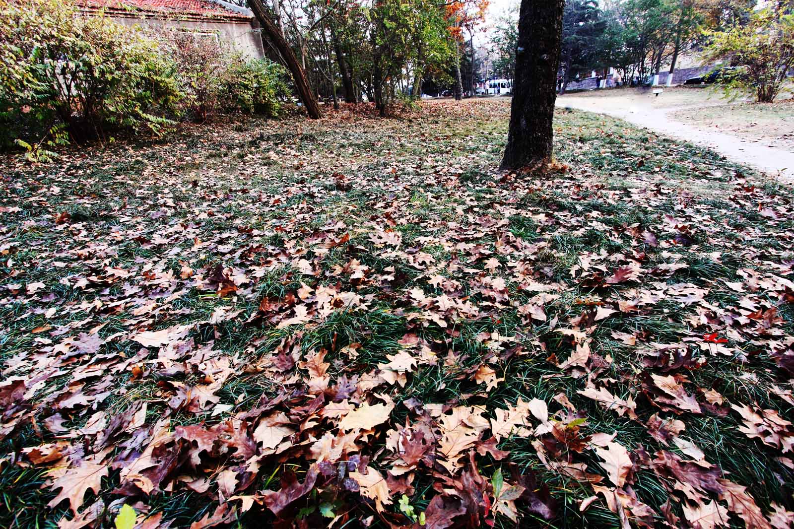 http://i.dcview.tw/gallery/201011/a11d3fc342e1d5774c1165059c85d5c2.jpg