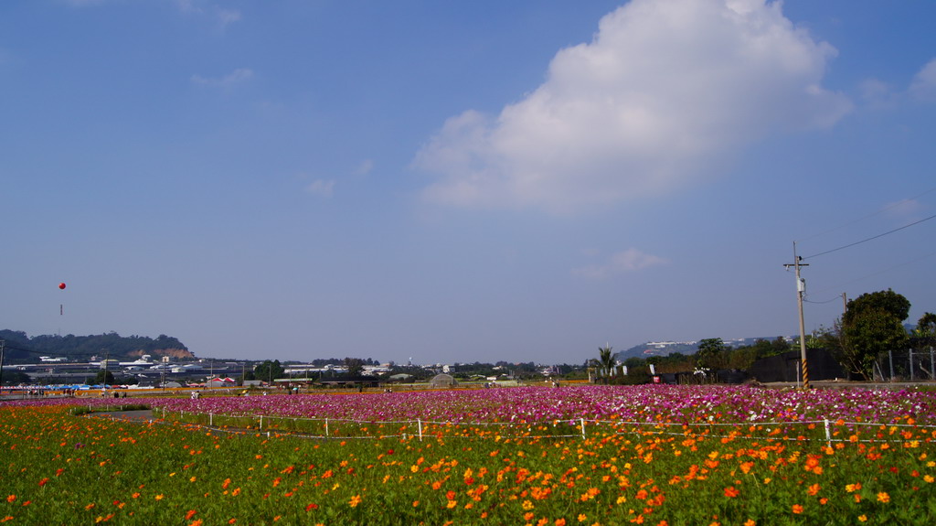 http://i.dcview.tw/gallery/201011/a4096f1ddbd8e9346f6775e1481d7945.jpg