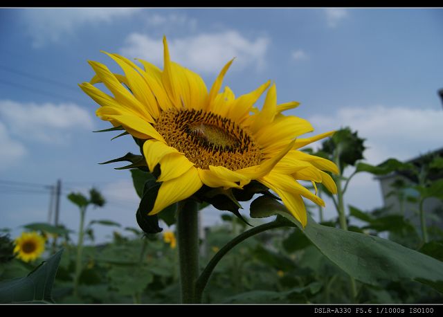 http://i.dcview.tw/gallery/201011/ade7f7da6ce693b671bca91a6bf96f97.jpg