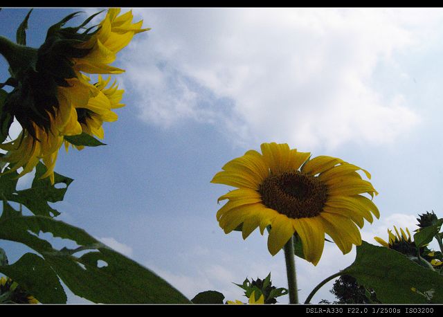 http://i.dcview.tw/gallery/201011/b01cfba576de4de128b3071c09feacf7.jpg