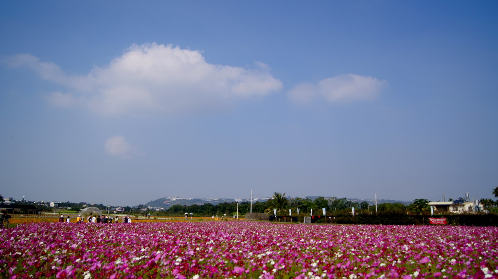 http://i.dcview.tw/gallery/201011/b51cd32977cef4f5ae171c19b6dbe3eb.jpg