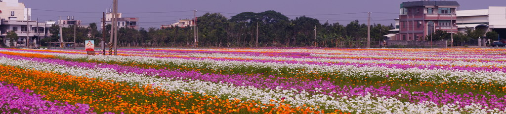http://i.dcview.tw/gallery/201011/bdd23ed7ed84b11b2cb36d813742cbef.jpg
