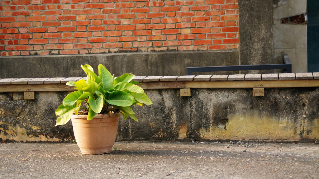 http://i.dcview.tw/gallery/201011/c11a2c375ca281a9609956e78bef8729.jpg