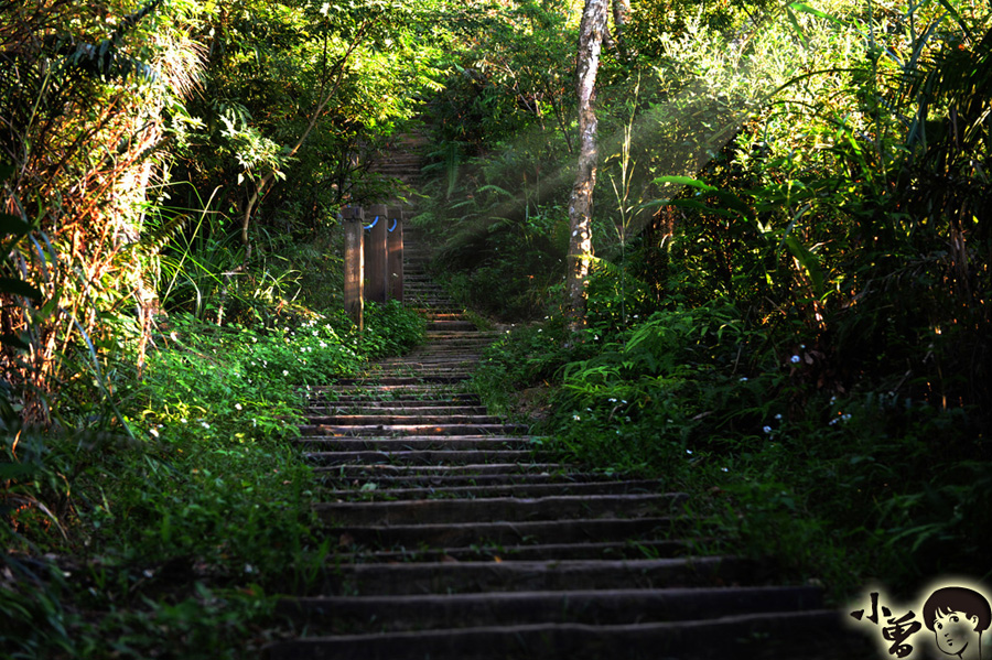 http://i.dcview.tw/gallery/201011/c2295af8385e5f19206a52386dcc7a11.jpg