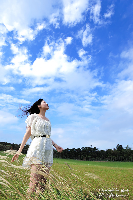 http://i.dcview.tw/gallery/201011/cc7e7916768ecf0d31d9eff15fb52d10.jpg