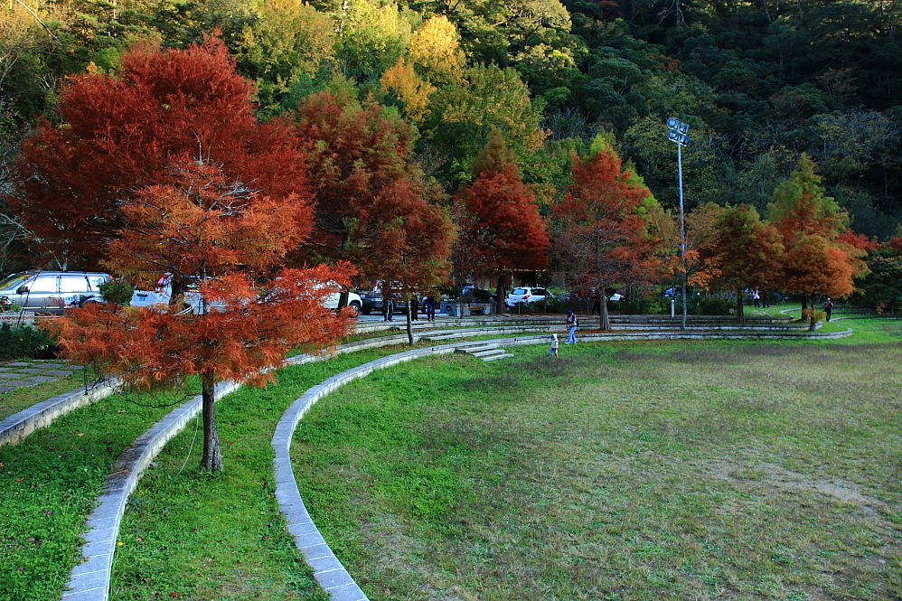 http://i.dcview.tw/gallery/201011/d3481a735b93c226f4815d3813ba45c5.jpg