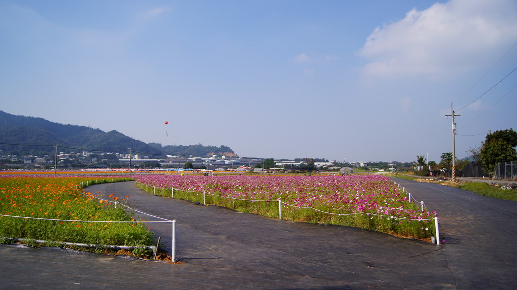 http://i.dcview.tw/gallery/201011/d4139f273c26fc1cd65193ef4f45b706.jpg