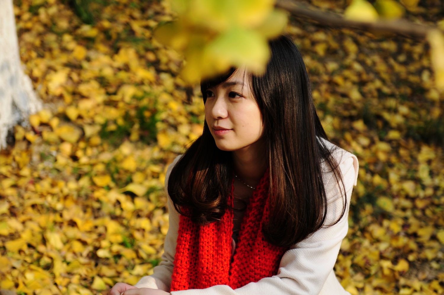 http://i.dcview.tw/gallery/201011/d722297a8e5d928becfe7ad69c1add0c.jpg