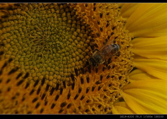 http://i.dcview.tw/gallery/201011/d9e4ae02759959533f306009dd74e417.jpg