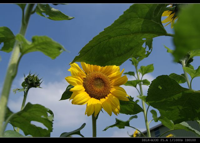 http://i.dcview.tw/gallery/201011/df741e97320be7f60c0e6c01ce1b79ca.jpg