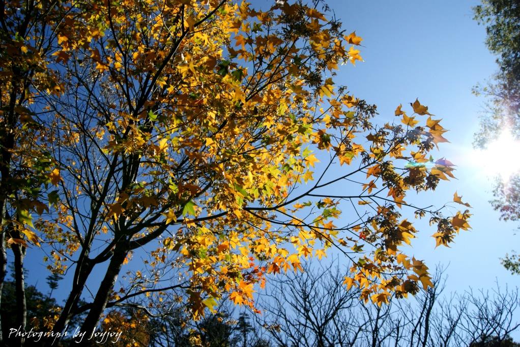 http://i.dcview.tw/gallery/201011/e056a9f21575fc930e562647492a7990.jpg